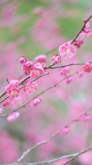 9770F12F-EB11-49B3-9A75-C9259B49D845/L0/001