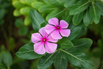 DSC04057_副本.jpg