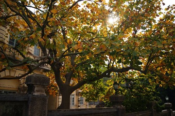 DSC04103_副本.jpg