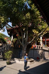 DSC06313_副本.jpg