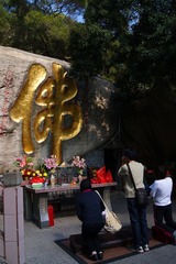 DSC06331_副本.jpg