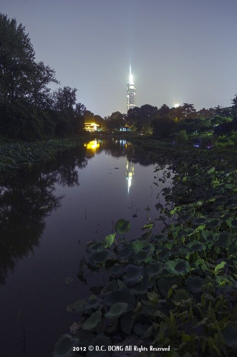 今夜荷塘无月色<br />
