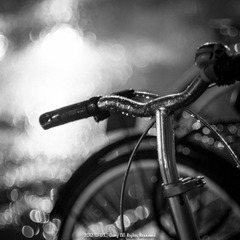 _IGP0072.jpg