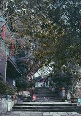 B3C26656-EA74-4515-8EA1-29C140CF0B1C/L0/001