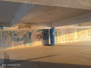 1000082088