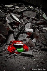 IMG_3035-1-1.jpg
