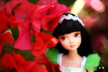 IMG_3570.JPG