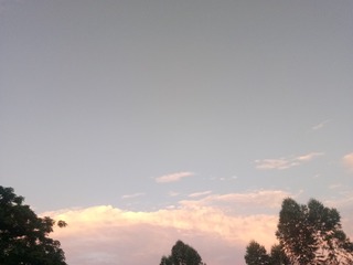 1480815