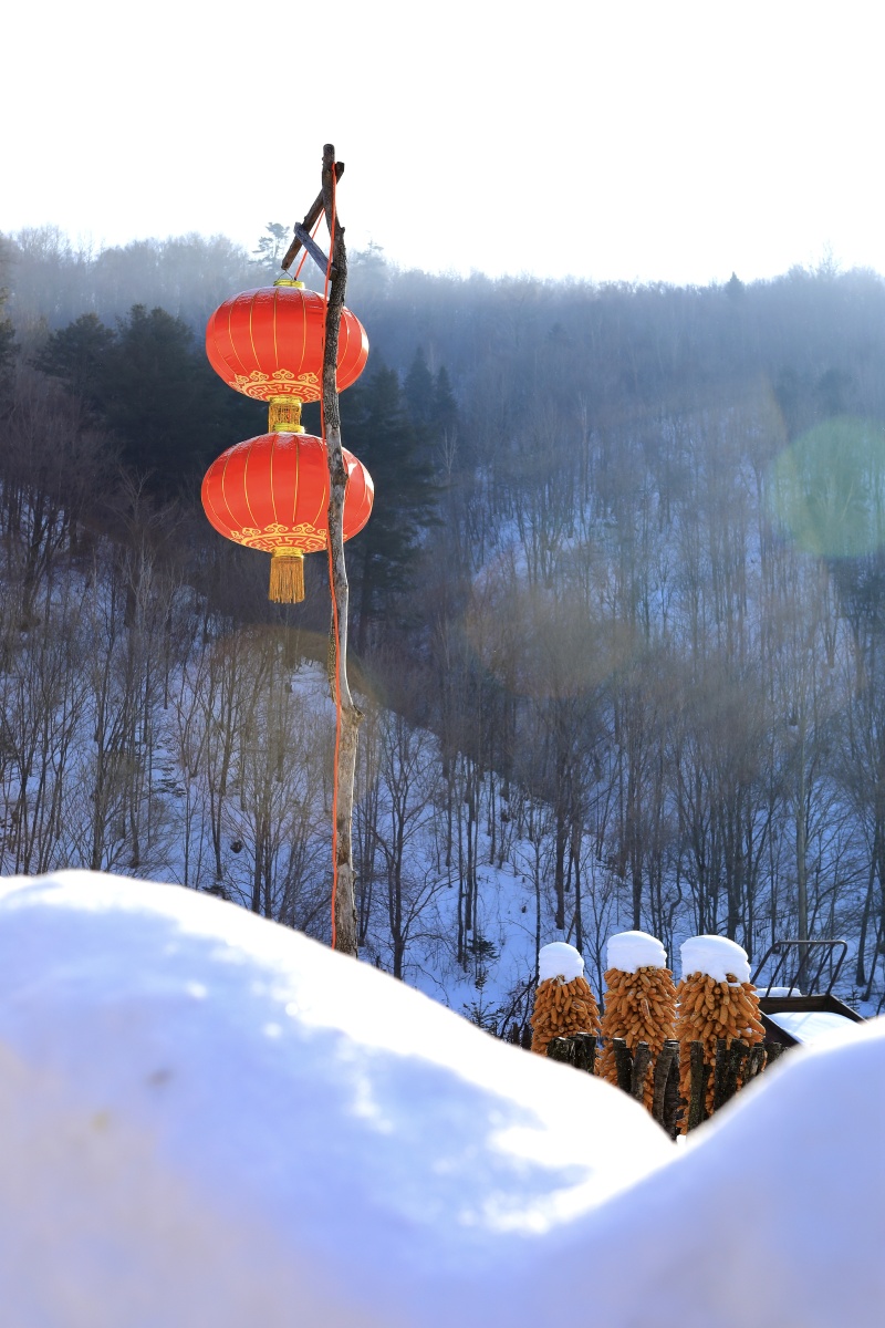 雪村冬韵威虎山雪村位于黑龙江省牡丹江市柴河林业局卫星林场大山深处