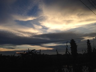 802233EA-A679-4569-AA37-622F2E1BBDE8/L0/001