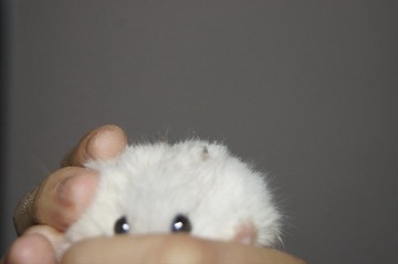 DSC02201.JPG