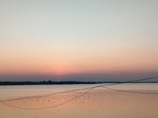 1000027851