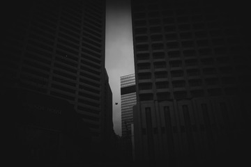 DSC_3635-s