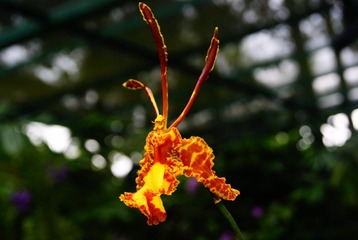DSC01623
