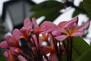 DSC01691