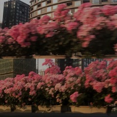 130032