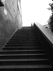 P1000085.JPG