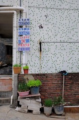 DSC_0012.JPG