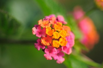 DSC_0049.JPG