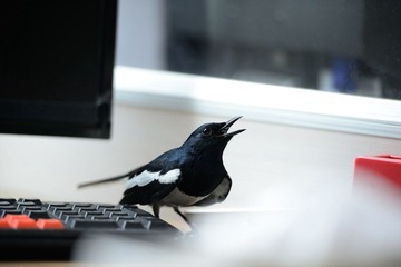 DSC_0122.JPG