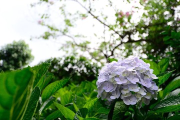 ND4_0853.jpg