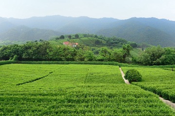 ND4_0809.jpg
