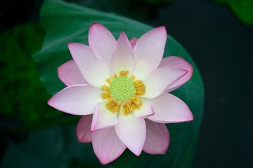 ND4_0077.jpg