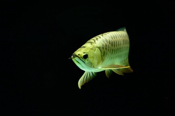ND4_0075.JPG