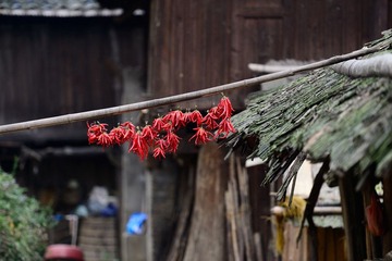 ND4_0371.JPG