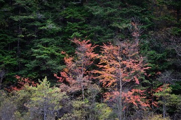 照片 286.jpg