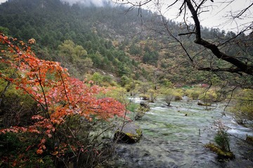 照片 538.jpg