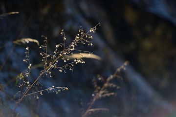 照片 077.jpg