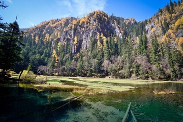 照片 127.jpg
