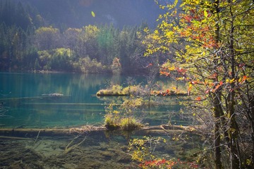 照片 160.jpg