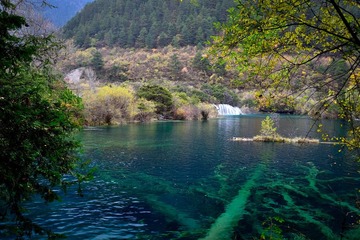 照片 574.jpg
