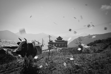 照片 866.jpg