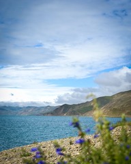 ND4_0313_037-8
