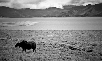 ND4_0332_036-9