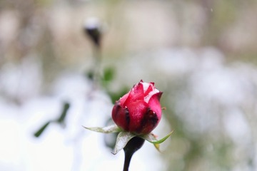 A27897D4-57E4-4DD2-99E4-A760D1FA6292/L0/001