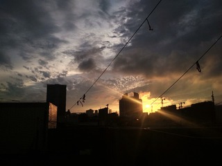 1281501