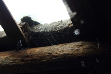 DPP_0031.JPG