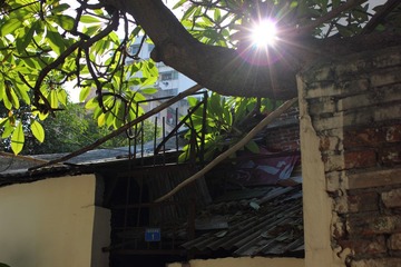 DPP_0001.JPG