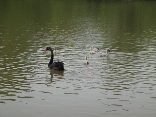 DSC00335.JPG