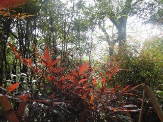 DSC00379.JPG