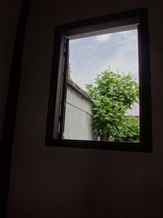 DSC00551.JPG