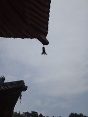 DSC00581.JPG