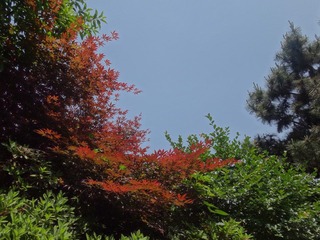 DSC00622.JPG