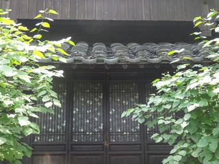 DSC00698.JPG