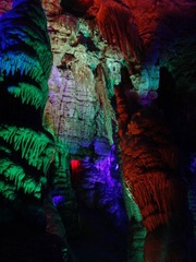 DSC00726.jpg