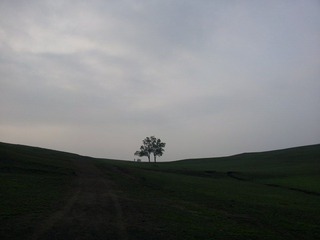 20120708_062536.jpg